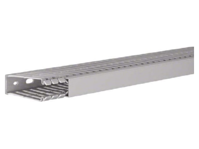 Product image 2 Tehalit BA7 80025 gr Slotted cable trunking system 80x25mm