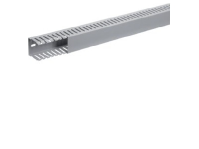 Product image 1 Tehalit DNG 50050 gr Slotted cable trunking system 49x49mm
