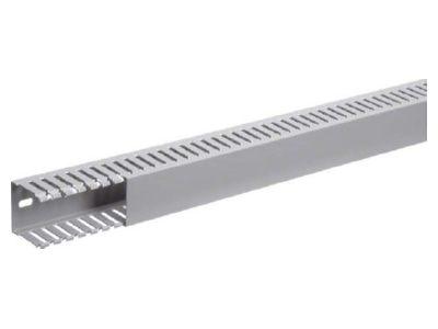Product image 2 Tehalit DNG 50050 gr Slotted cable trunking system 49x49mm