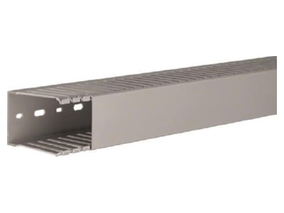 Product image 2 Tehalit DNG 75050 gr Slotted cable trunking system 73x49mm