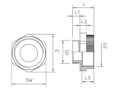 Dimensional drawing 2 OBO 107 E M 20 25 PA Adapter ring M25   M20 plastic