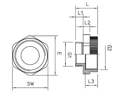 Dimensional drawing 1 OBO 107 E M 25 32 PA Adapter ring M25   M25 plastic
