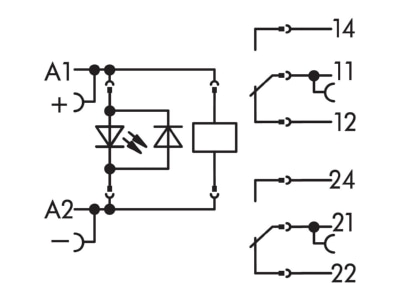Schaltbild WAGO 788 311 Stecksockel m Relais 2W  12V DC 2x8A