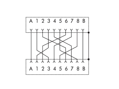 Circuit diagram WAGO 289 177 RJ45 8 8  jack