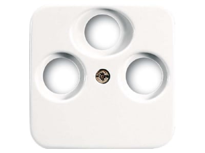 Product image Busch Jaeger 1743 03 214 Central cover plate
