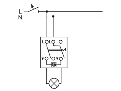 Wiring plan Busch Jaeger 2001 2 UKGL 101 2 pole switch flush mounted cream white
