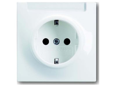 Product image Busch Jaeger 20 EUN 74 Socket outlet  receptacle 
