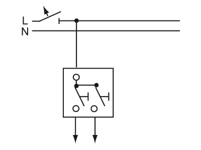 Connection diagram Busch Jaeger 2020 US 205 Double push button insert 1 pole  2x normally open 

