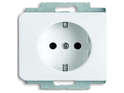 Product image Busch Jaeger 20 EUC 24G Socket outlet  receptacle 
