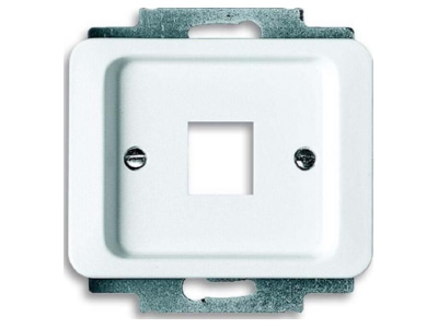 Product image Busch Jaeger 2561 24G Basic element with central cover plate
