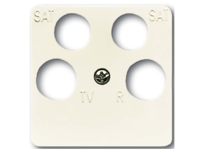 Product image Busch Jaeger 1743 10 04 212 Control element
