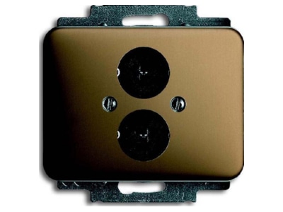 Product image Busch Jaeger 1751 21 Basic element with central cover plate
