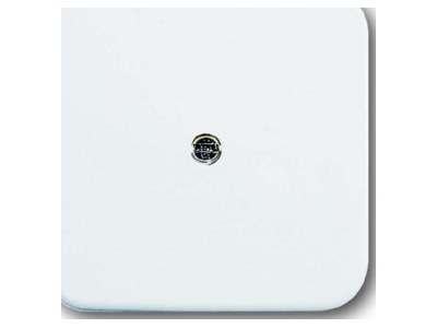 Product image Busch Jaeger 2536 214 Central cover plate
