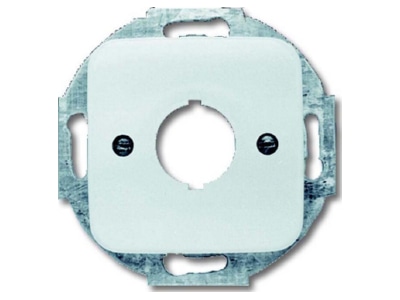 Product image Busch Jaeger 2534 214 Basic element with central cover plate

