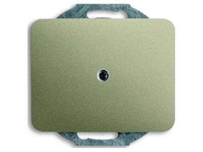 Product image Busch Jaeger 1742 260 Control element blind cover
