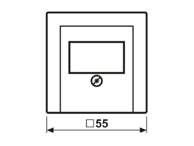 Dimensional drawing 1 Jung A 569 PLT Plate TAE
