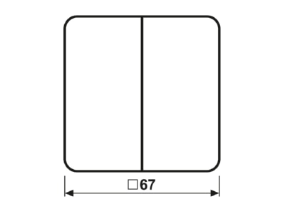 Mazeichnung Jung CD 595 P PT Wippe Symbole pla fuer Taster