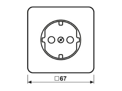 Mazeichnung Jung CD 521 WWPL Abdeckung aws