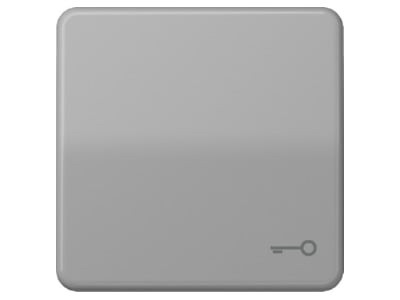 Product image Jung CD 590 T GR Cover plate for switch push button grey
