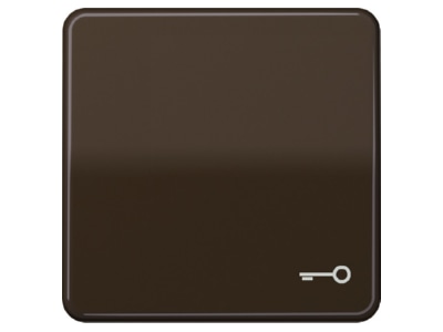 Product image Jung CD 590 T BR Cover plate for switch push button brown
