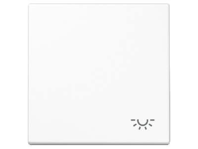 Produktbild Jung LS 990 L WW Wippe Symbol LICHT aws fuer Taster