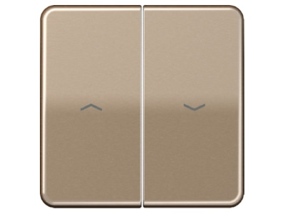 Produktbild Jung CD 595 P GB Wippe Symbole gold brz fuer Taster