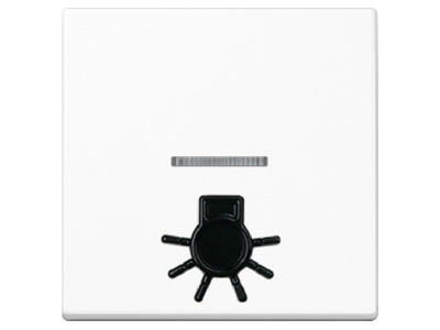 Produktbild Jung A 590 L1KO WW Wippe abt Symbol LICHT aws fuer Kontrollschalter