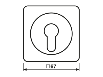 Mazeichnung Jung CD 528 WW Abdeckung aws fuer Schluesselschalt 