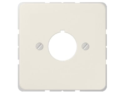 Product image Jung 564 Plate
