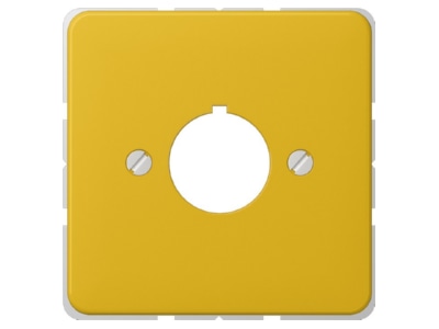 Product image Jung 564 GE Plate
