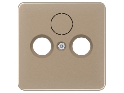 Product image Jung CD 561 SAT GB Plate SAT
