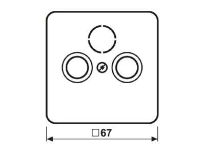 Dimensional drawing Jung CD 561 SAT PT Plate SAT