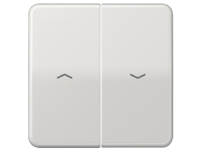 Produktbild Jung CD 595 P LG Wippe Symbole lgr fuer Taster