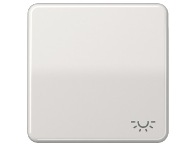 Product image Jung CD 590 L LG Cover plate for switch push button grey
