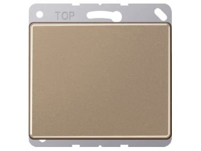 Product image Jung SL 561 B GB Cover plate for Blind plate bronze
