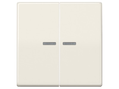 Produktbild Jung AS 591 5 KO5 Wippe Lichtleiter ws fuer Taster