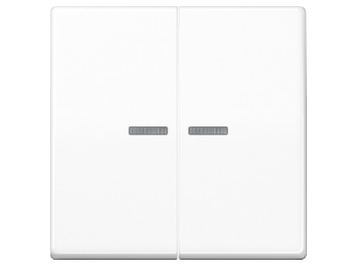 Produktbild Jung AS 591 5 KO5 WW Wippe Lichtleiter aws fuer Taster