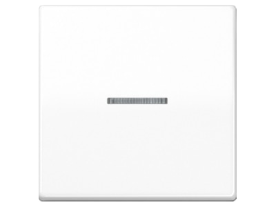 Produktbild Jung AS 591 KO5 BF WW Wippe Lichtleiter aws fuer Schalter Taster