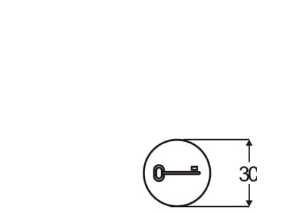 Dimensional drawing Busch Jaeger 2144 TR Labelling for domestic switching device