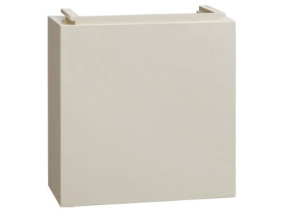 Product image 1 Elso 508100 Empty box for skirting duct RAL1013
