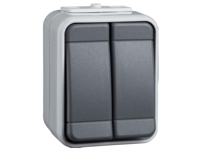 Product image 1 Elso 441509 Series switch surface mounted grey
