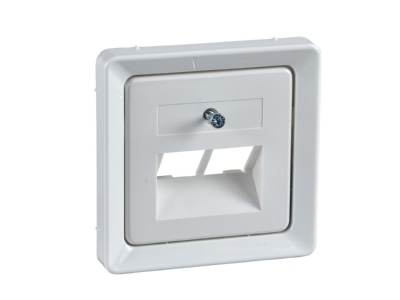 Product image 1 Elso 206414 Central cover plate UAE IAE  ISDN 
