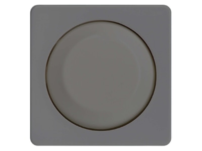 Product image 1 Elso 2270111 Cover plate for dimmer stainless steel

