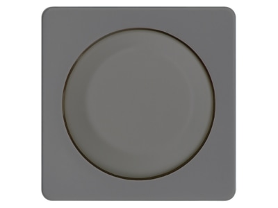 Product image 2 Elso 2270111 Cover plate for dimmer stainless steel