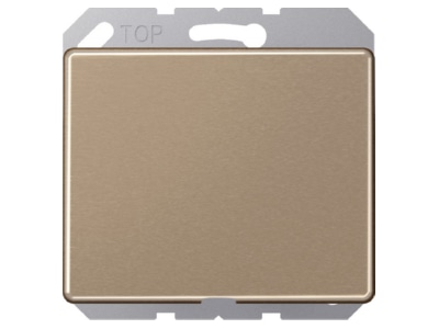 Product image Jung SL 590 A GB Basic element with central cover plate

