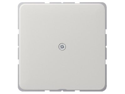 Product image Jung CD 590 A LG Basic element with central cover plate
