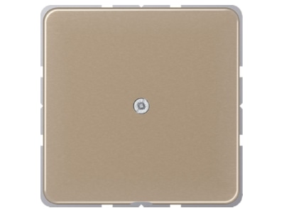Product image Jung CD 590 A GB Basic element with central cover plate
