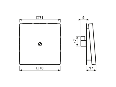 Dimensional drawing Jung AL 2990 A AN Basic element with central cover plate