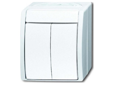 Product image Busch Jaeger 2601 5 W 54 Series switch surface mounted white
