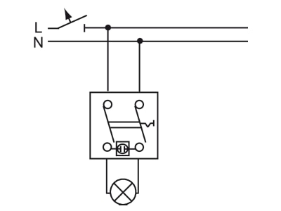 Connection diagram Busch Jaeger 2601 2 SKWNH 54 2 pole switch surface mounted white
